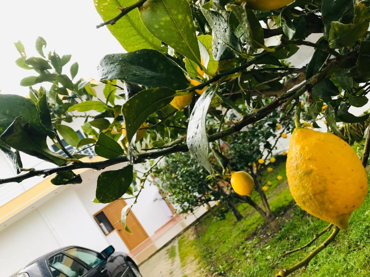 Kompleksi Turistik Edir Orikum Exterior foto